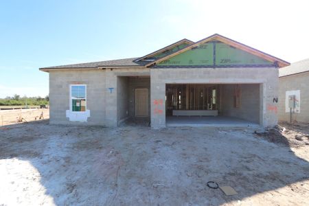 New construction Single-Family house 3150 Adams Cross Dr, Zephyrhills, FL 33540 Miranda- photo 29 29