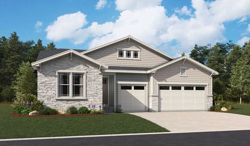 New construction Single-Family house 8613 Yellowcress St, Littleton, CO 80125 plan Nottingham - image
