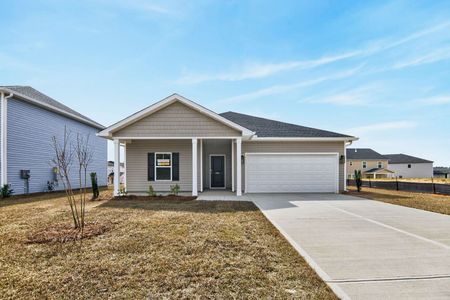 New construction Single-Family house 3521 Tanbark Oak Ln, Aiken, SC 29801 plan Cooper - image