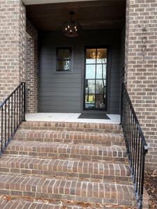 Steel front door