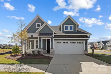 New construction Single-Family house 1002 Pastoral Pl, Waxhaw, NC 28173 - image