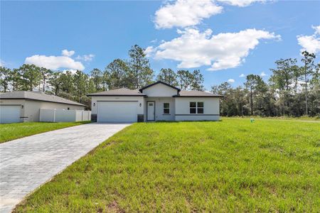 New construction Single-Family house 8737 N Raidin Dr, Citrus Springs, FL 34433 - image