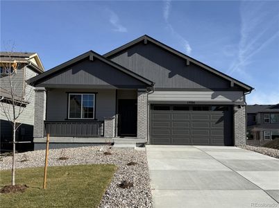 New construction Single-Family house 13784 Daffodil Wy, Parker, CO 80134 - image
