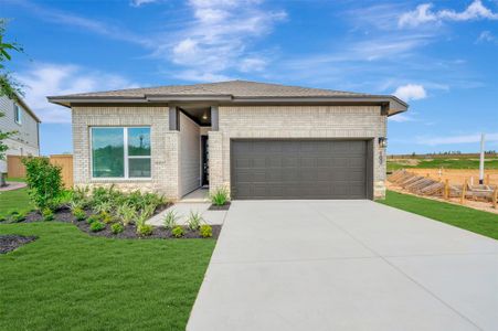 New construction Single-Family house 102 Pinyon Pine Dr, Bastrop, TX 78602 plan The Crystal Beach - image