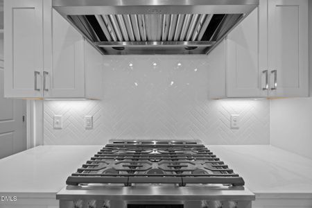 New construction Single-Family house 35 Broadleaf Ln, Youngsville, NC 27596 - image 17