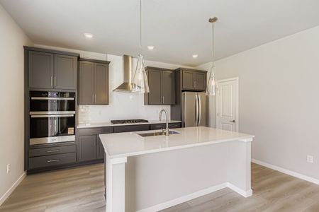 New construction Single-Family house 13763 Daffodil Wy, Parker, CO 80108 plan Silverthorne - image 7