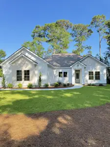 New construction Single-Family house 13420 Ocean Hwy, Pawleys Island, SC 29585 - image