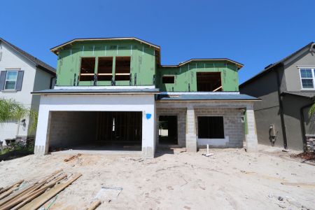 New construction Single-Family house 2536 Sunny Pebble Loop, Zephyrhills, FL 33540 Alenza- photo 1 1