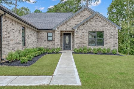 New construction Single-Family house 1977 La Salle Park Dr, Conroe, TX 77304 - image