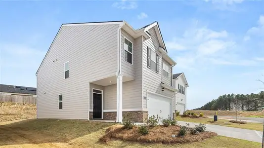 New construction Single-Family house 236 Lauritsen Wy, Newnan, GA 30265 - image