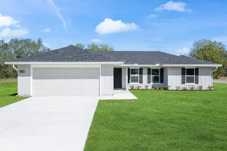 New construction Single-Family house 49 Locust Loop Cir, Ocala, FL 34472 - image