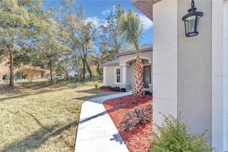 New construction Single-Family house 19610 Sw 93Rd Pl, Dunnellon, FL 34432 null- photo 4 4