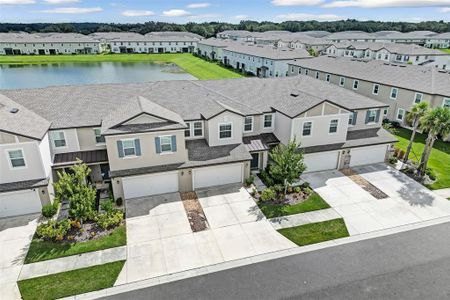 New construction Townhouse house 10308 Lavender Aster Trl, San Antonio, FL 33576 - image