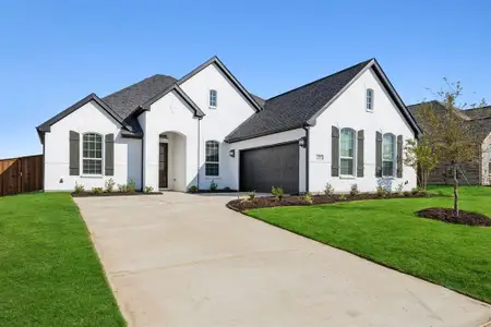 New construction Single-Family house 4353 Biddle St, Midlothian, TX 76065 plan Springport - image