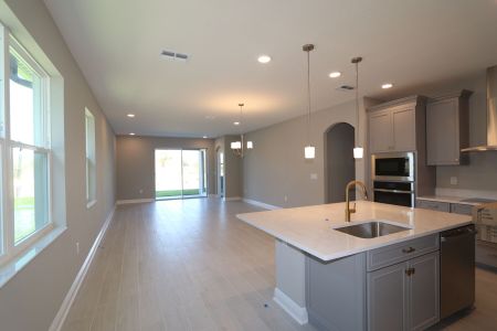 New construction Single-Family house 31229 Denham Ridge Ln, Wesley Chapel, FL 33545 Newport II- photo 105 105