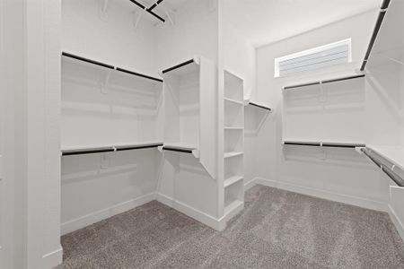 New construction Single-Family house 636 Cross Timber Trce, Hockley, TX 77447 null- photo 10 10