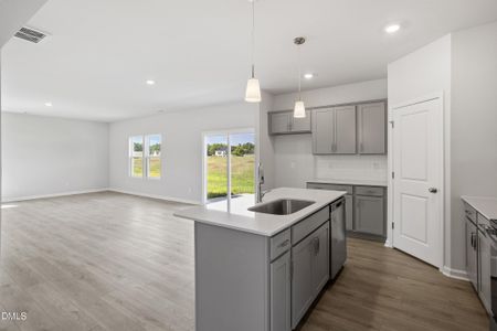 New construction Single-Family house 22 Sagamore Ave, Angier, NC 27501 plan Telfair - image 4