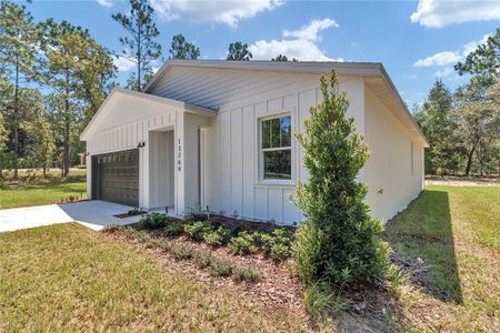 New construction Single-Family house 13264 Sw 69Th Pl, Ocala, FL 34481 - image