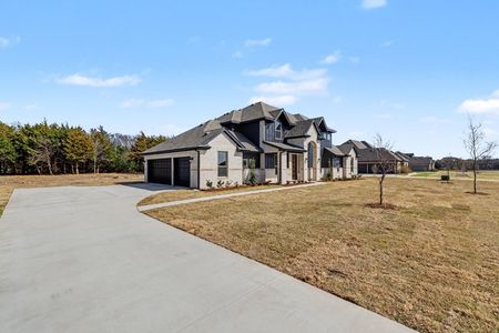 New construction Single-Family house 7041 Champion, Midlothian, TX 76065 - image 19