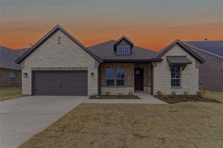 New construction Single-Family house 1121 Trinity Dr, Springtown, TX 76082 - image