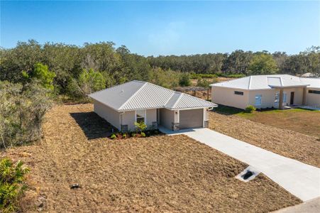 New construction Single-Family house 3206 N Sedgewick Rd, Avon Park, FL 33825 - image