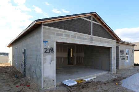 New construction Single-Family house 12227 Hilltop Farms Dr, Dade City, FL 33525 Sentinel- photo 53 53