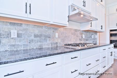 New construction Single-Family house 4178 Millstream Rd, Denver, NC 28037 - image 11