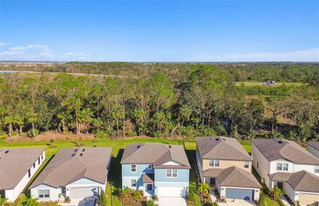 New construction Single-Family house 11751 Moonsail Dr, Parrish, FL 34219 Wakefield- photo 24 24