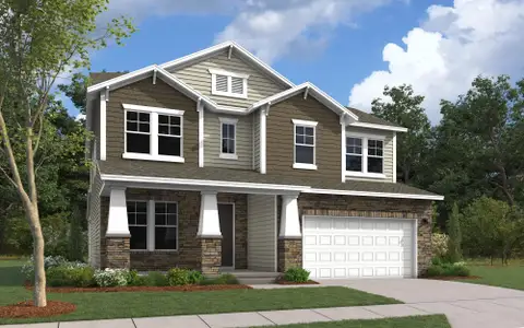 New construction Single-Family house 1028 Rocking Horse Rd, Indian Trail, NC 28079 plan Millbrook - image