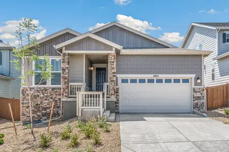 New construction Single-Family house 1905 Water Birch Way, Castle Rock, CO 80108 null- photo 33 33