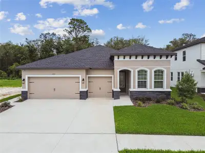 New construction Single-Family house 11303 Striped Bass Ct, New Port Richey, FL 34654 - image 2