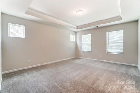 New construction Townhouse house 14934 Tamarack Dr, Charlotte, NC 28278 Blayre- photo 14 14