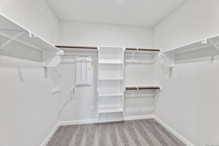 New construction Single-Family house 15571 Salmon Spg, San Antonio, TX 78253 plan Alto - image 9