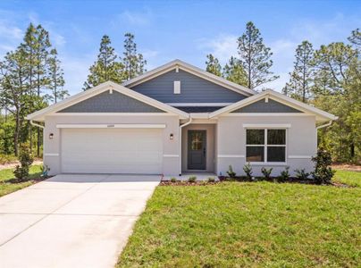 New construction Single-Family house 16204 Malden Rd, Weeki Wachee, FL 34614 - image