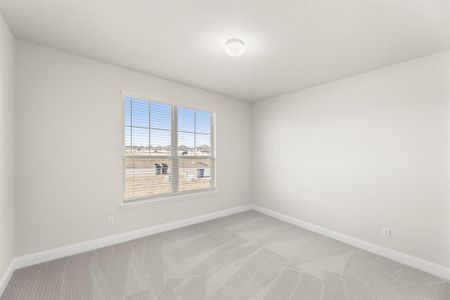 New construction Single-Family house 532 Birthright Ln, McLendon-Chisholm, TX 75032 plan Brady - image 19