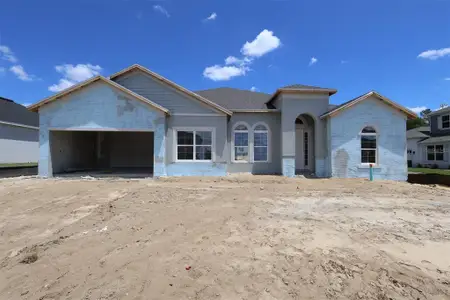 New construction Single-Family house 3254 Wolf Lake Ave, Apopka, FL 32712 plan Brookhaven Fl - image