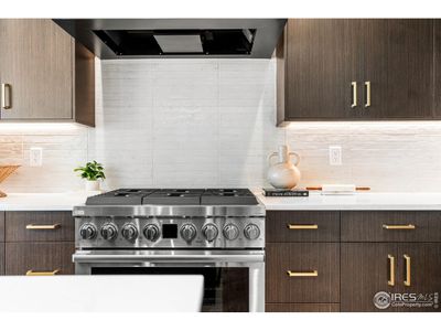 New construction Duplex house 6719 Morning Song Ct, Timnath, CO 80547 - image 19