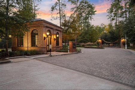 New construction Single-Family house 208 Eminence Isle, Montgomery, TX 77316 - image 5