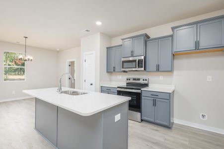 New construction Single-Family house 113 Cherry Blossom Wy, Dickson, TN 37055 - image 4