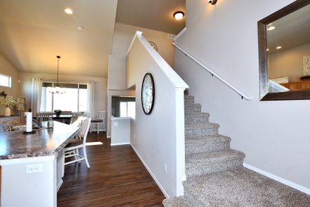 New construction Single-Family house 437 Vivid Ln , Evans, CO 80634 - photo 27 27