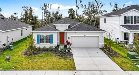 New construction Single-Family house 9833 Zennia Ln, Parrish, FL 34219 - image