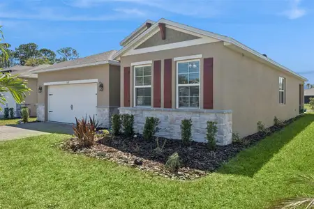 New construction Single-Family house 1527 Delphi Wy, New Smyrna Beach, FL 32168 - image