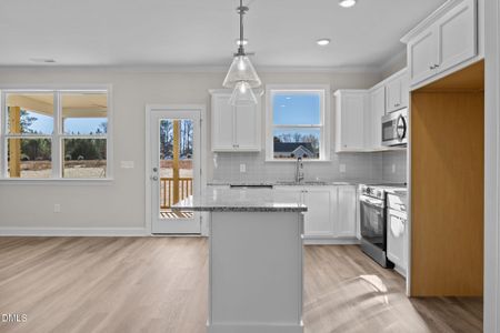 New construction Single-Family house 25 Diamond Creek Dr, Zebulon, NC 27597 - image 9