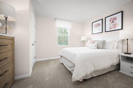 New construction Single-Family house 8 Buster Alice Wy, Piedmont, SC 29673 plan Torrey - image 17