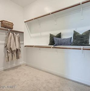 Bella Vista Farms: Meridian by Lennar in San Tan Valley - image 10