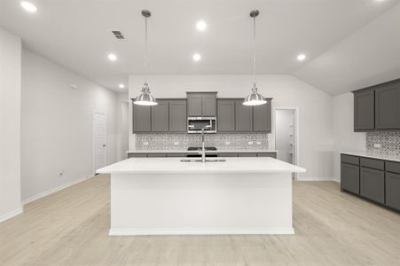 New construction Single-Family house 724 Scarlet Sage Dr, Waxahachie, TX 75165 plan Lincoln - image 14