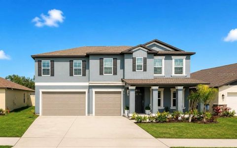 New construction Single-Family house 4049 Capri Coast Dr, Plant City, FL 33565 - image