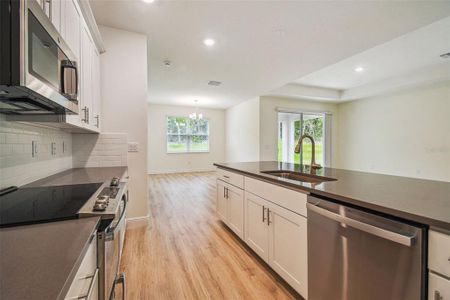 New construction Single-Family house 11303 Striped Bass Ct, New Port Richey, FL 34654 - image 12