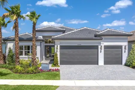 New construction Single-Family house 3959 Cabernet Ter, Wesley Chapel, FL 33543 plan Emerald - image