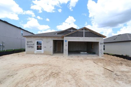 New construction Single-Family house 12193 Hilltop Farms Dr, Dade City, FL 33525 Sentinel- photo 1 1